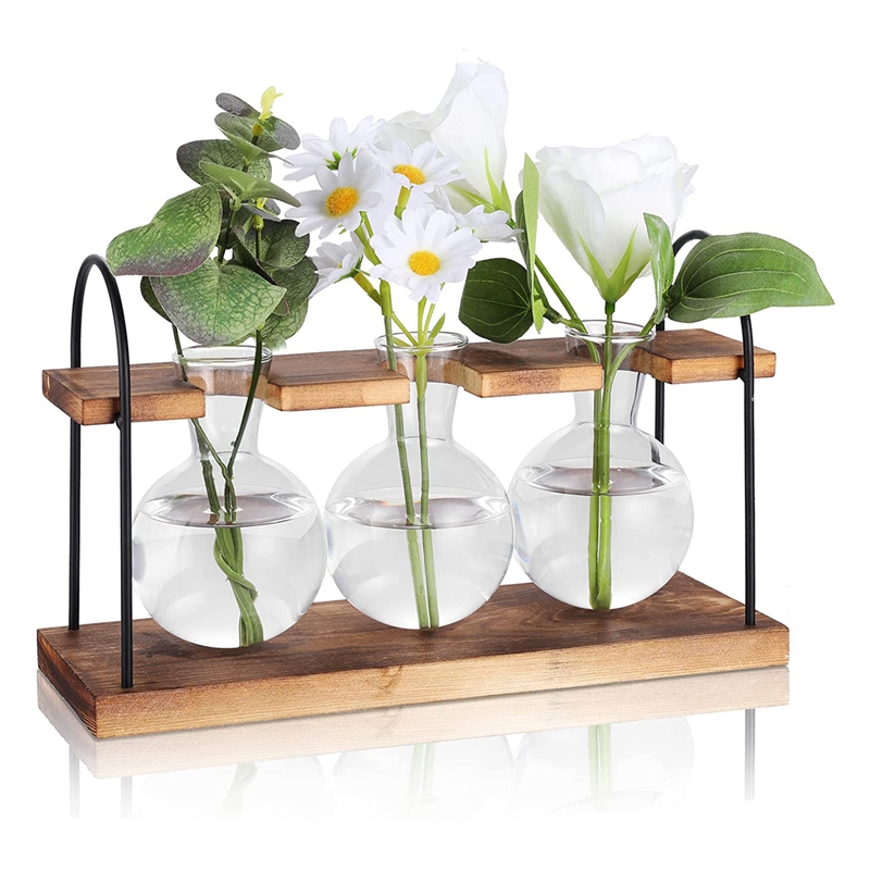 Plant Propagation Station with - огляд і ціна Propagation Station Vase